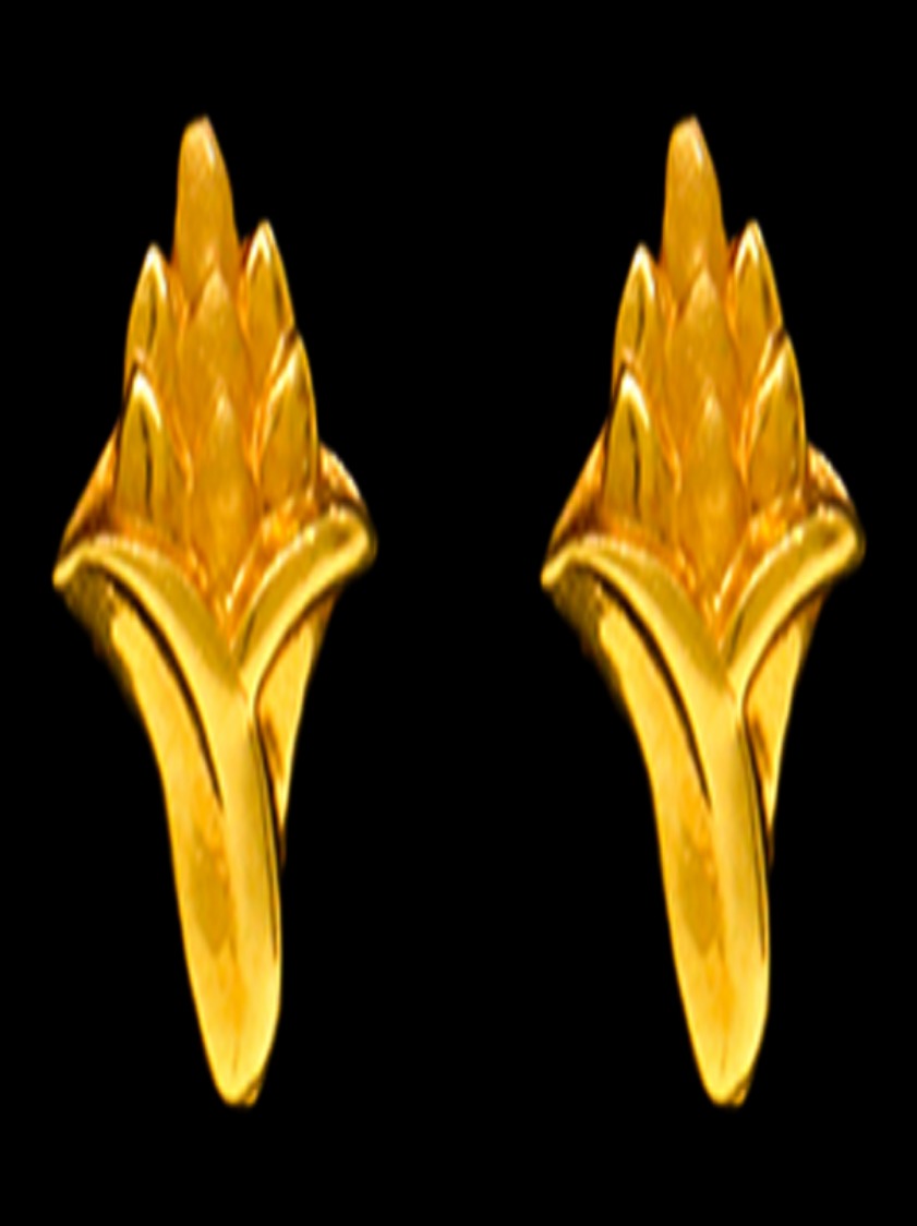 22K Gold Stud Earrings - SW12693